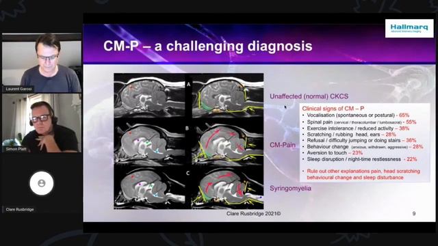 Veterinary Neurology | Summer Series | Dr. Clare Rusbridge смотреть онлайн