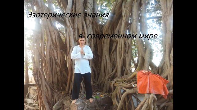 Саморазвитие, как проблема современного общества смотреть онлайн