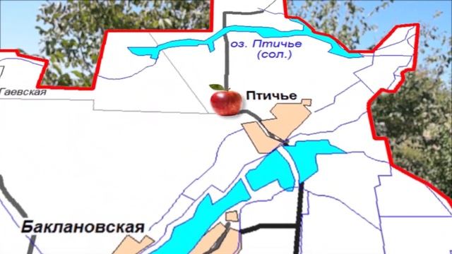 Изобильненские суперинтенсивные сады в ЛПХ смотреть онлайн