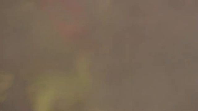 Свинина в сковороде вок с броколи и красным перцем | ПОХУДЕНИЕ для ГУРМАНОВ E33 | смотреть онлайн