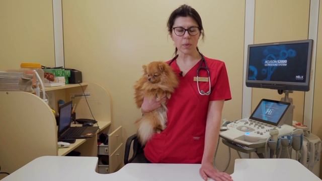 Магия и эстетика бровей