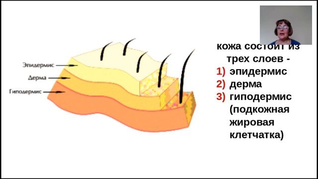 30.07.2016 Почему надо защищать летом нашу кожу от солнечных лучей. Ирина Комшина смотреть онлайн