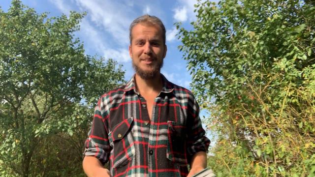 Любовь / Инструкция по Применению. Антон Иноземцев смотреть онлайн
