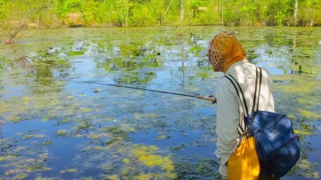 Какую речную рыбу можно считать самой вредной? смотреть онлайн