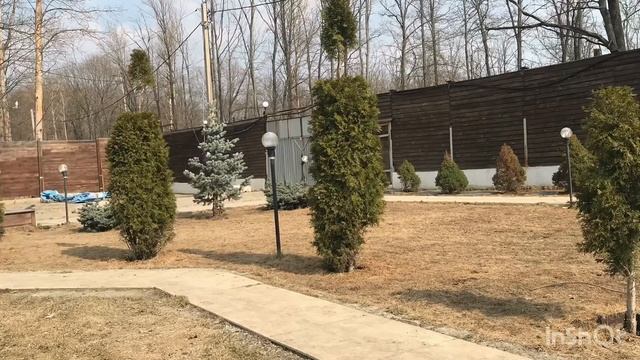 ОБРАБОТКА ХВОЙНЫХ ПОСЛЕ ЗИМЫ. ПОСЛЕ ОЖОГОВ, БОЛЕЗНЕЙ, ГРИБКОВ И ДЛЯ ПРОФИЛАКТИКИ. смотреть онлайн