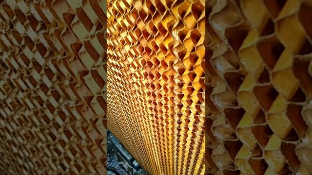 pacco evaporante.mkv смотреть онлайн