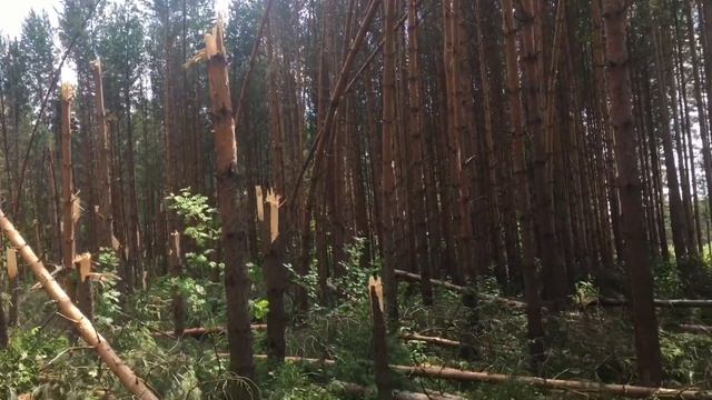 Последствия грозы в Кирове!!! смотреть онлайн