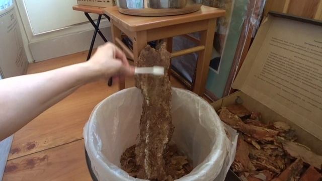 45#25 / Хобби-Цветы / КАК САМОЙ ЗАГОТОВИТЬ КОРУ ДЛЯ ПОСАДКИ ОРХИДЕЙ смотреть онлайн