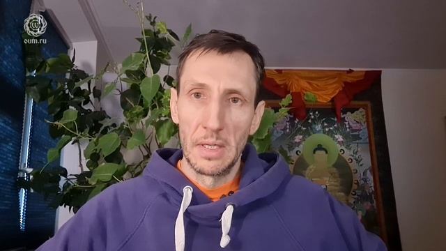 Мудрость в спокойствии смотреть онлайн