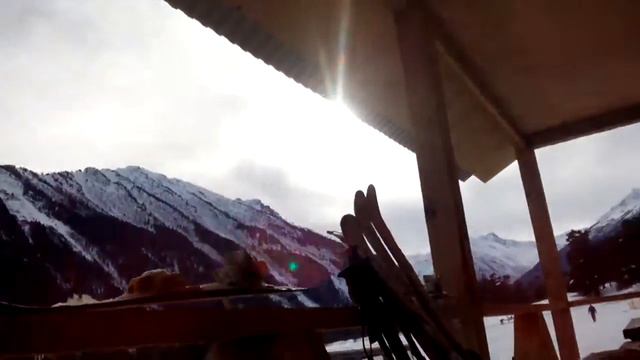 Вистл и укулель на катухе смотреть онлайн