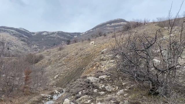 ДОЖДИ не СПАСЛИ КРЫМ - ВОДА КОНЧАЕТСЯ. Откуда берется ВОДА в ВОДОПАДАХ КРЫМА. ПОКАЗЫВАЮ ПРАВДУ. смотреть онлайн