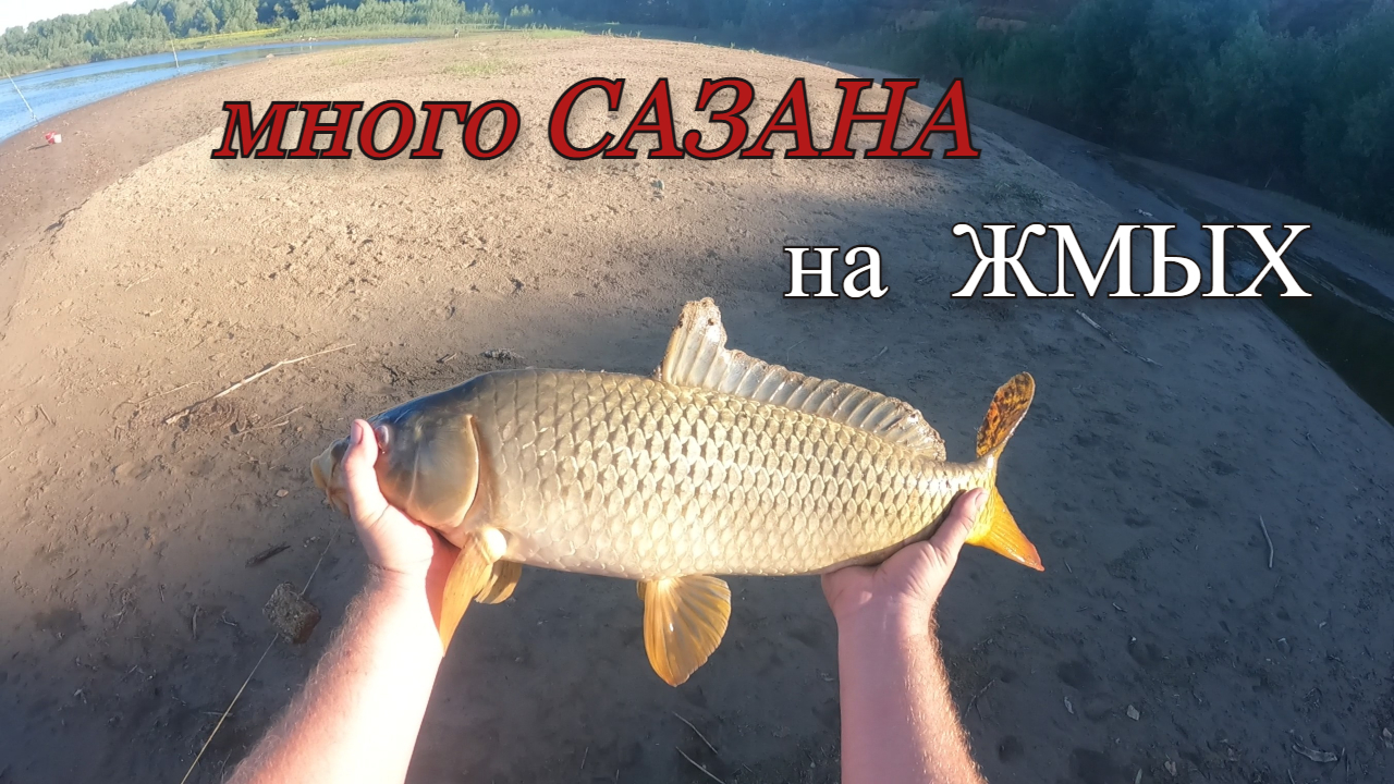 Рыбалка мечты! Поймал 7 САЗАНОВ за утро.Часть 2 смотреть онлайн