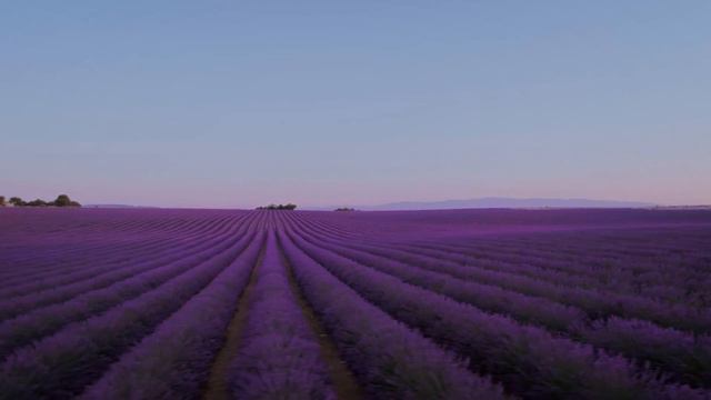 SLEEP MUSIC | 428 Hz | Positive Energy Sleep | Delta Waves PIANO MUSIC