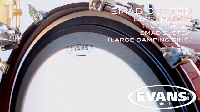 ULTIMATE Evans Bass Drum Heads Comparison - Timpano Percussion смотреть онлайн
