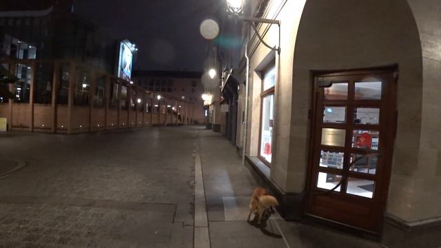 Франкфурт без людей смотреть онлайн