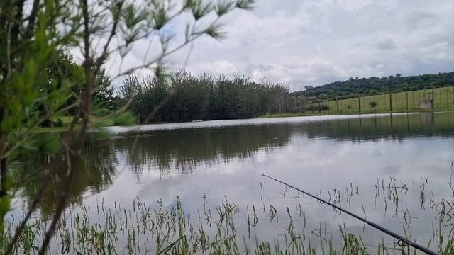 Рыбалка на Африканского сома. Поймал 10 кг сомятины. #johannesburg #сом #рыбалка