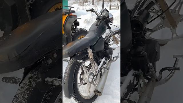 Что вам нравится больше?? #regulmoto #питбайк #альфа #квадроцикл #покатушки #рекомендации смотреть онлайн