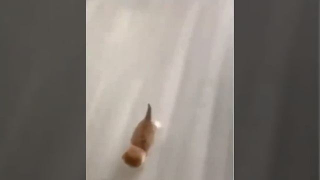 прыг.mp4 смотреть онлайн