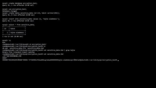MySQL 5.7 - Transparentne szyfrowanie danych (TDE, encryption at rest) w darmowej wersji Community смотреть онлайн