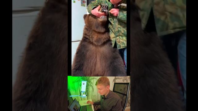 Мужик чистит зубы медведю!) шок, что за домашний зверь? #shorts смотреть онлайн