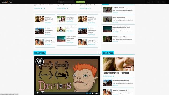 Viduze - Video WordPress Theme смотреть онлайн