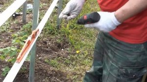 Как я делал шпалеры для малины