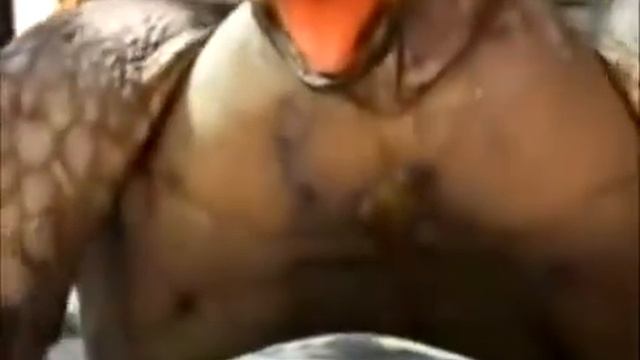 Животный мир-Блин, после 15 секунды, я тупо упал со стула смотреть онлайн