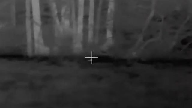 Thermal hunting nutrias смотреть онлайн