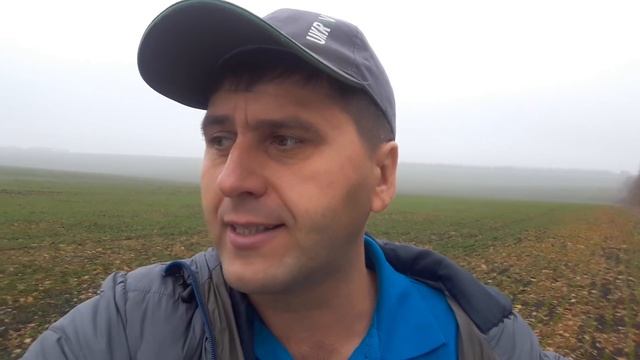 Коли та як вносити добрива під час сівби смотреть онлайн