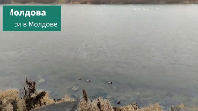 Командировка на релокации Могилёв Подольский смотреть онлайн
