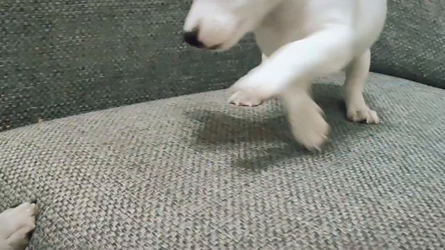 8 октября 2022 г. смотреть онлайн