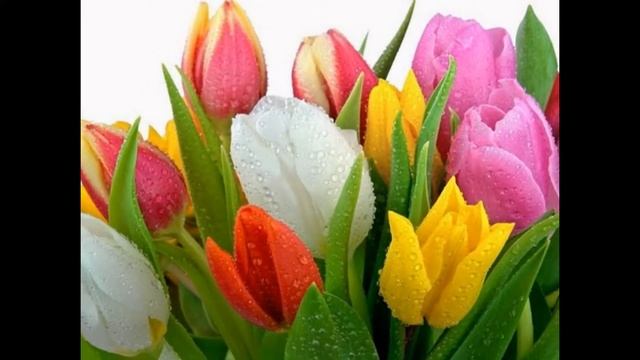 Красивые цветы)Для вас:)))) смотреть онлайн