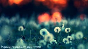 Максим приехал к своей невесте, из-за которой сидел срок. И заглянув в окно её дома он замер...