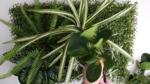 Как сделать фитокартину из искусственной зелени своими руками. Видеоинструкция