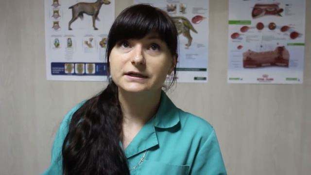 Чем кормить кошку? ВОПРОС ЭКСПЕРТУ смотреть онлайн