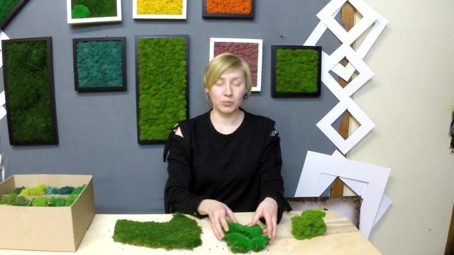 СТАБИЛИЗИРОВАННЫЙ МОХ. ВИДЫ МХА. смотреть онлайн