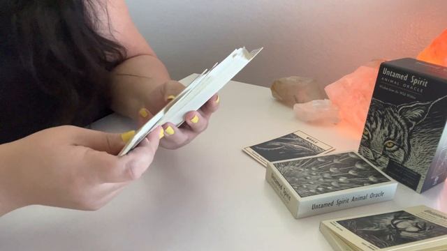 Untamed Spirit Animal Oracle Reveal! смотреть онлайн