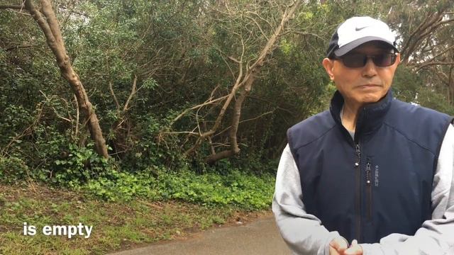 What is the difference between 10 animal and 12 animal 5 element styles of hsing i? смотреть онлайн