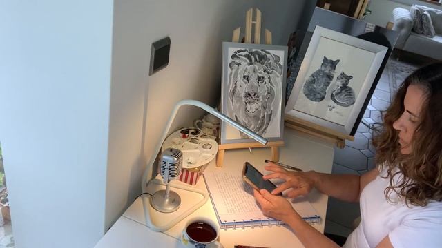 Huernia Zebrina Variegated #vlog #huernia #variegated смотреть онлайн