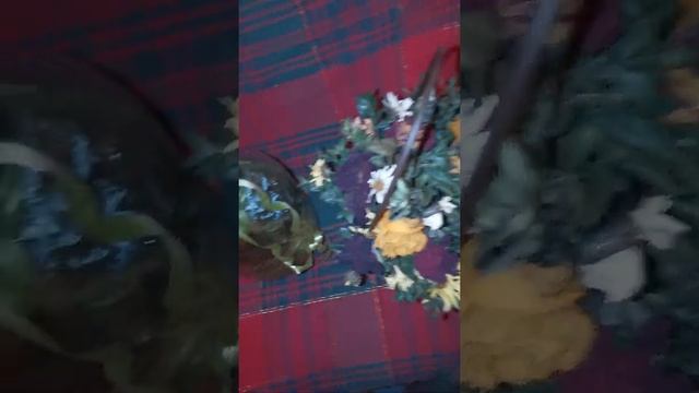 Asmr Dry flowers Асмр сухие цветы смотреть онлайн