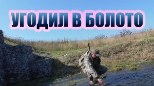 Охота с лайками как выбраться из болота