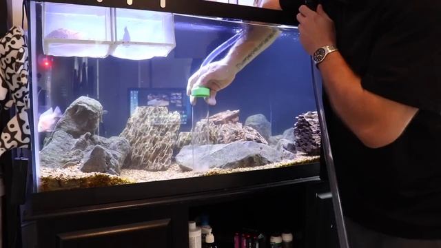 Easy Aquarium Maintenance, Best Aquarium Invention Ever, Python Water Changer смотреть онлайн