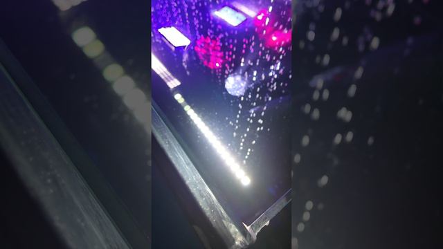 световые приборы в воде смотреть онлайн