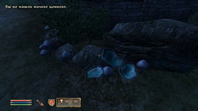 Oblivion_прохождение без комментариев