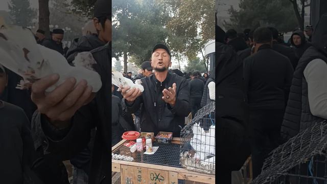 6 ноября 2022 г. смотреть онлайн