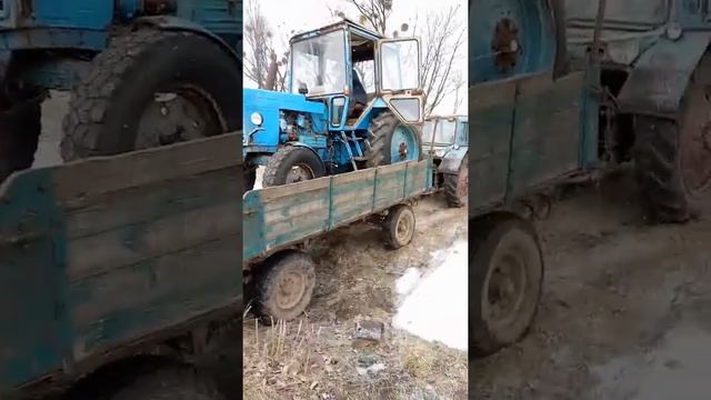 Покупка нового МТЗ-80 Доконца в конце треш!!! смотреть онлайн