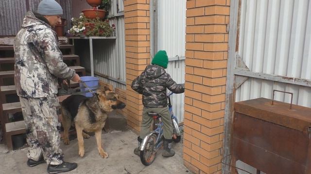 Основы дрессировки любой собаки! смотреть онлайн