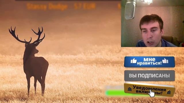 БЫВШАЯ ПИНГОВАЛА и хотела увидеться БЫВШАЯ ХОЧЕТ увидеться смотреть онлайн