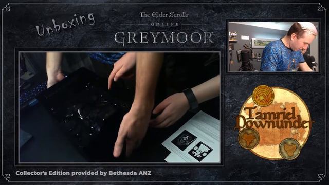 Unboxing Greymoor Physical Collector's Edition - ESO - Dark Heart of Skyrim #ESO #Greymoor смотреть онлайн