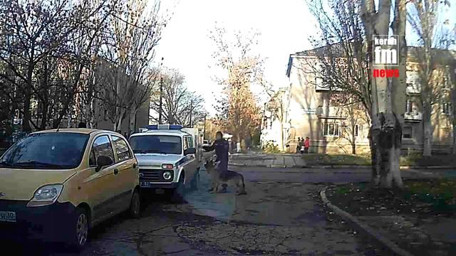 Керченскую школу перед сочинением проверяли собаки смотреть онлайн
